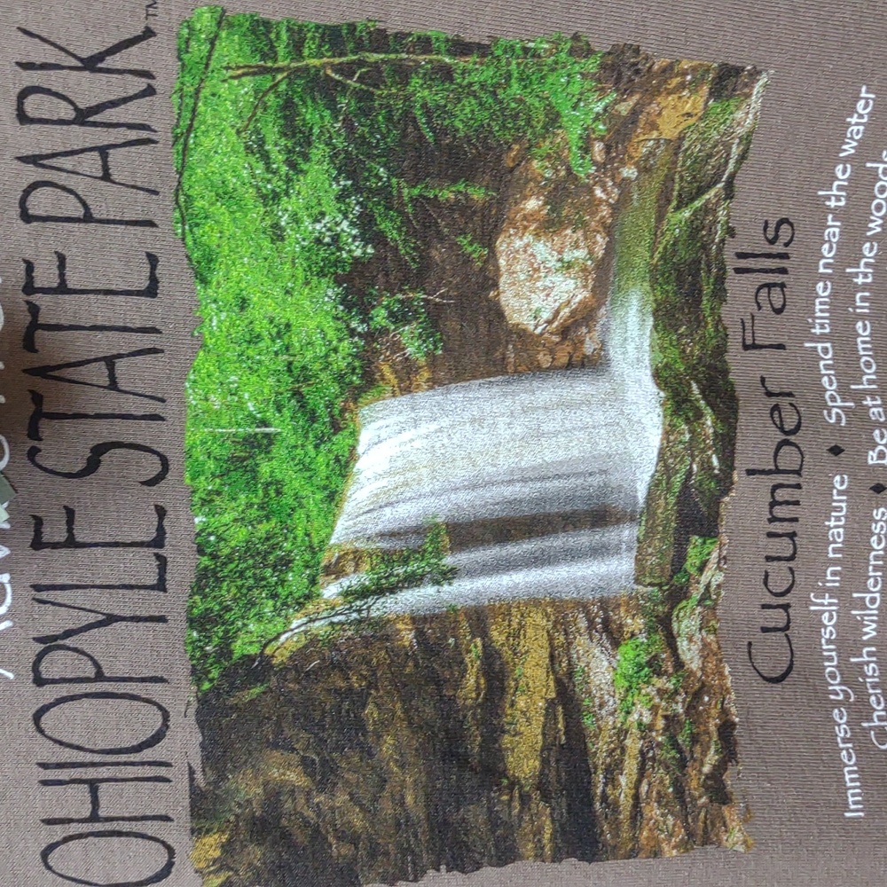 Gildan Advice From Nature - Ohiopyle State Park Cotton Brown SS Graphic Tee NWT - Picture 6 of 15